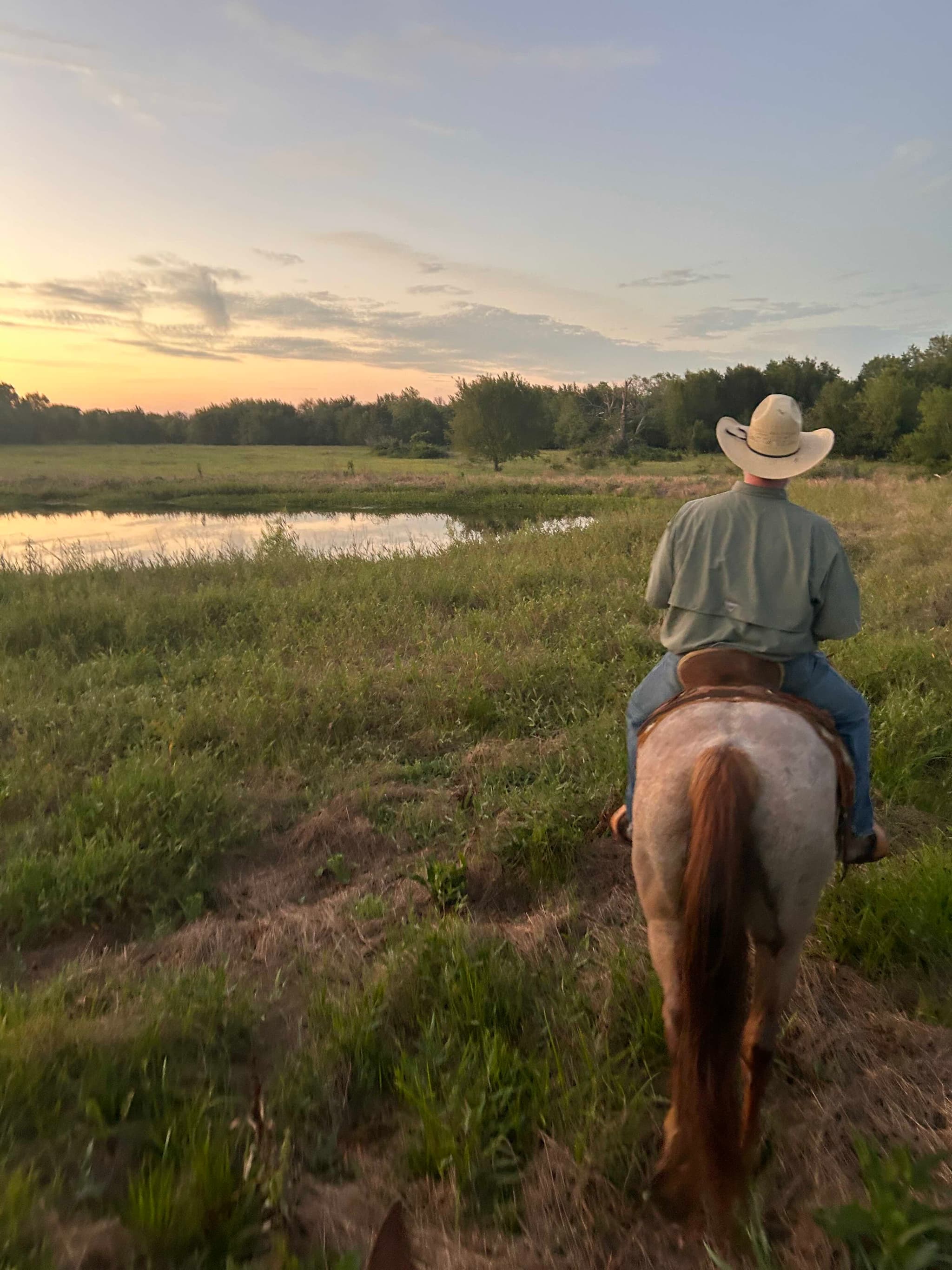 Equine, Farm & Ranch Insurance